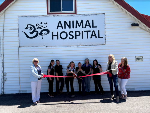 Aspen Park Vet