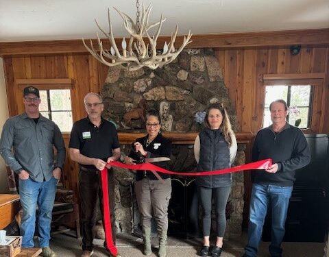 My Life & Health Solutions