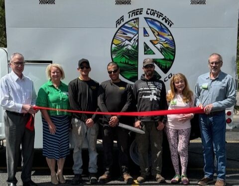 RR Tree Company