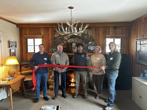 Old Growth Tree Service