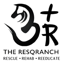ResqRanch_Logo_Transparent_2024